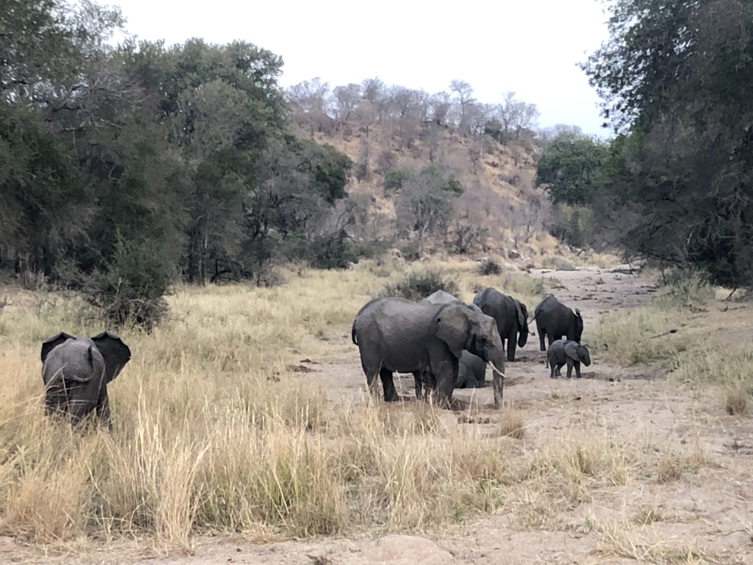 Afrique du Sud – Image 5